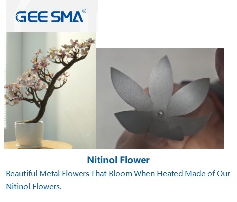 Nitinol Flower